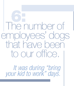 6: The number of employees' dogs that have been to our office. It was during "bring your kid to work" days.